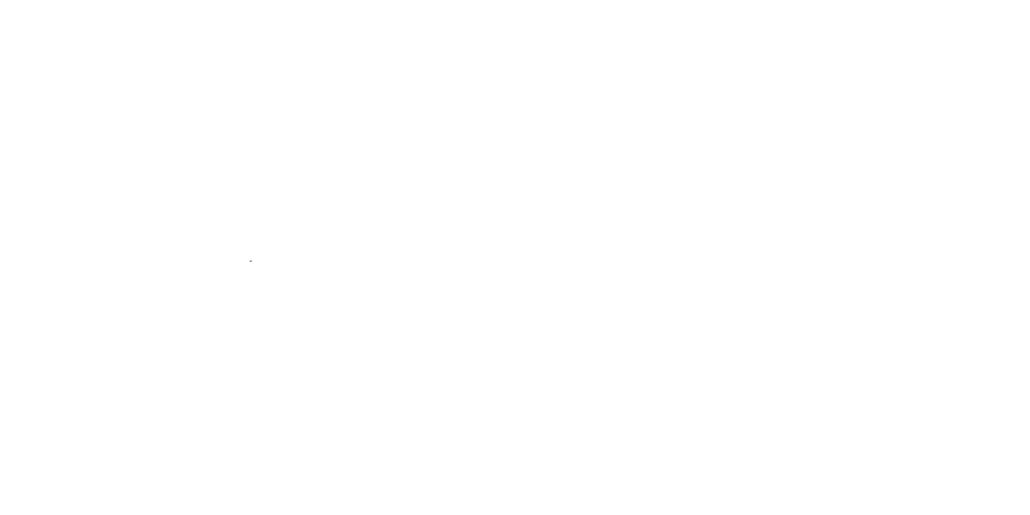 Laufschau